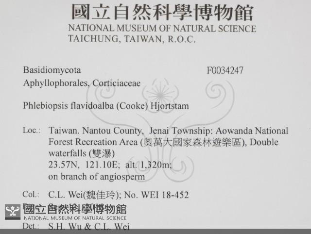 登錄號:F0034247藏品圖，第2張