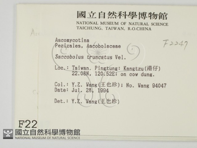 登錄號:F0002247藏品圖，第2張