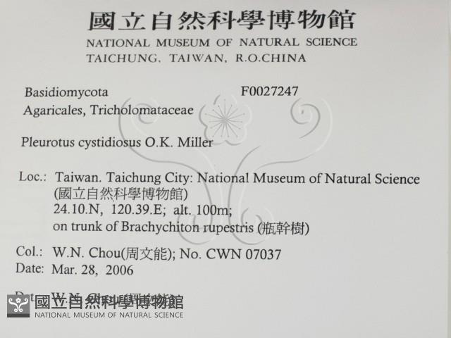 登錄號:F0027247藏品圖，第2張