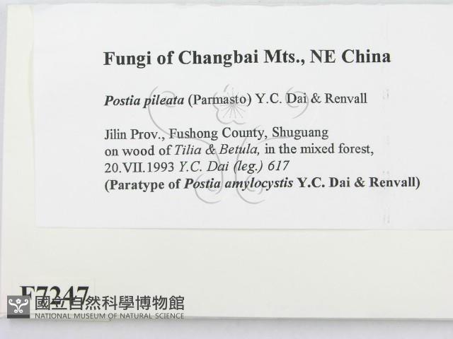 登錄號:F0007247藏品圖，第2張