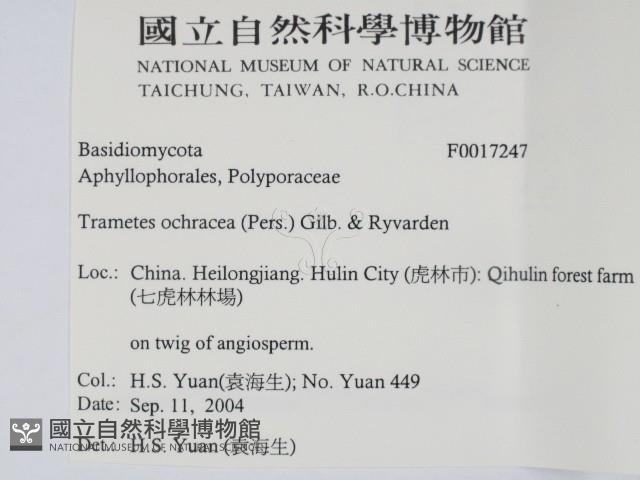 登錄號:F0017247藏品圖，第2張