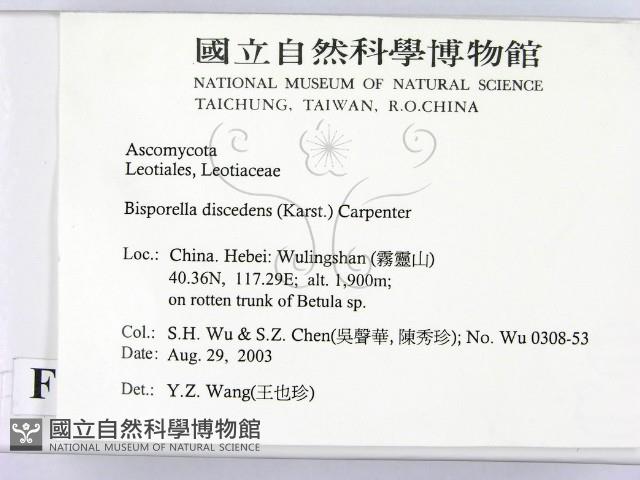 登錄號:F0015247藏品圖，第2張