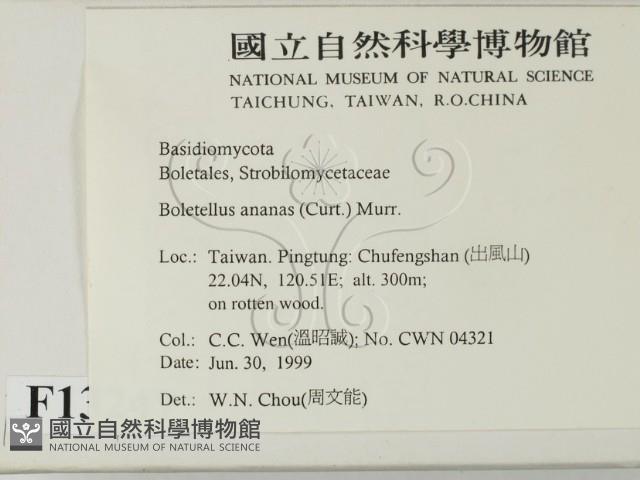 登錄號:F0013247藏品圖，第2張