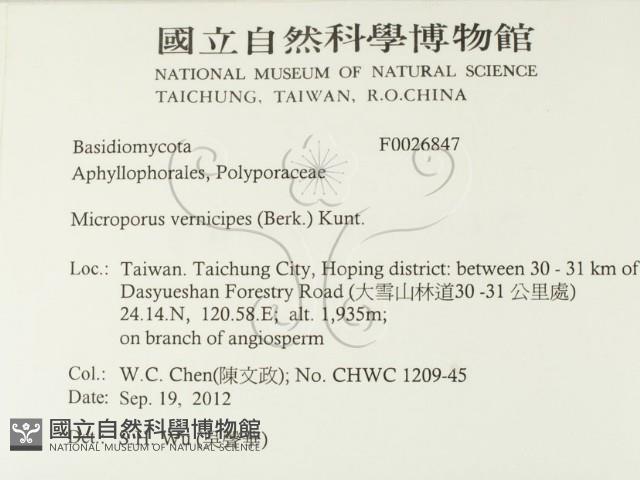 登錄號:F0026847藏品圖，第2張