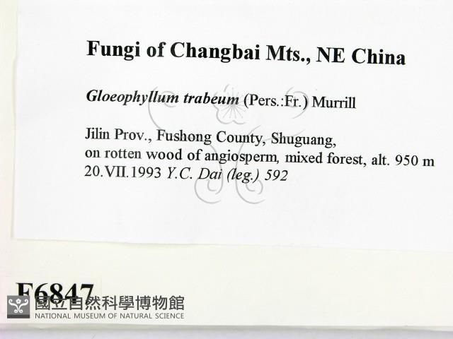 登錄號:F0006847藏品圖，第2張