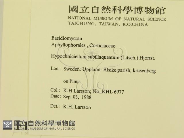登錄號:F0016847藏品圖，第2張