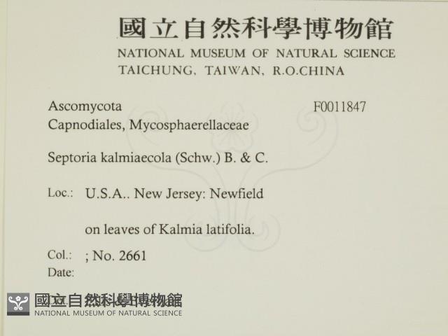 登錄號:F0011847藏品圖，第2張