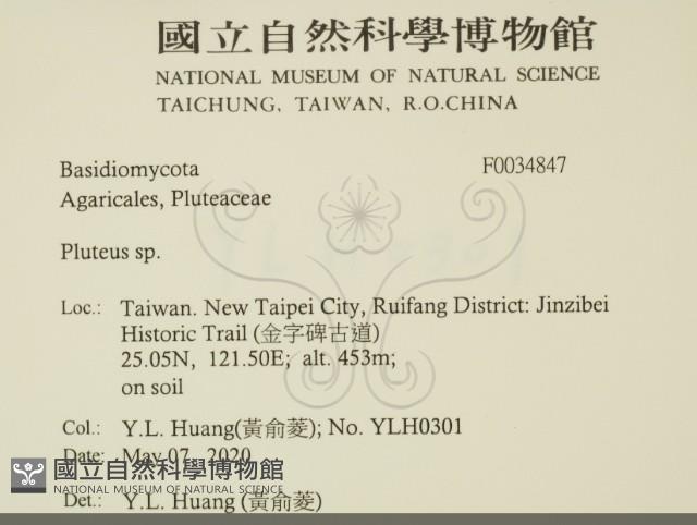 登錄號:F0034847藏品圖，第2張