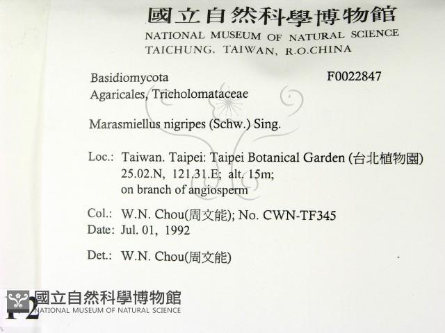 登錄號:F0022847藏品圖，第2張