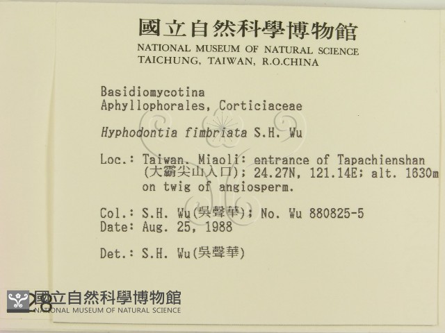 登錄號:F0002847藏品圖，第2張