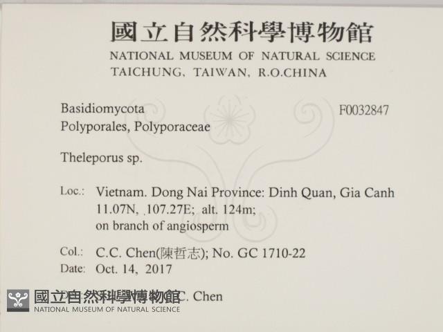 登錄號:F0032847藏品圖，第2張