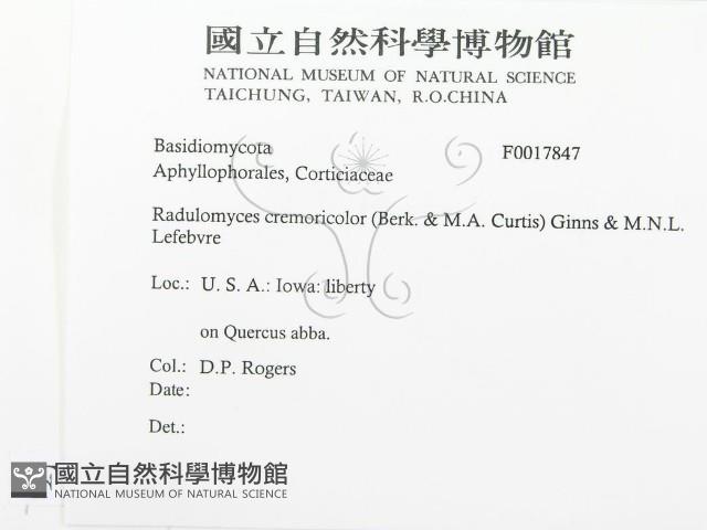 登錄號:F0017847藏品圖，第2張