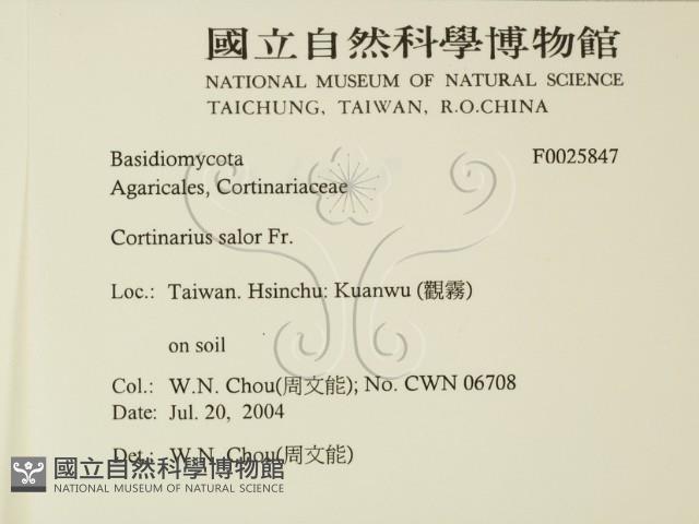 登錄號:F0025847藏品圖，第2張