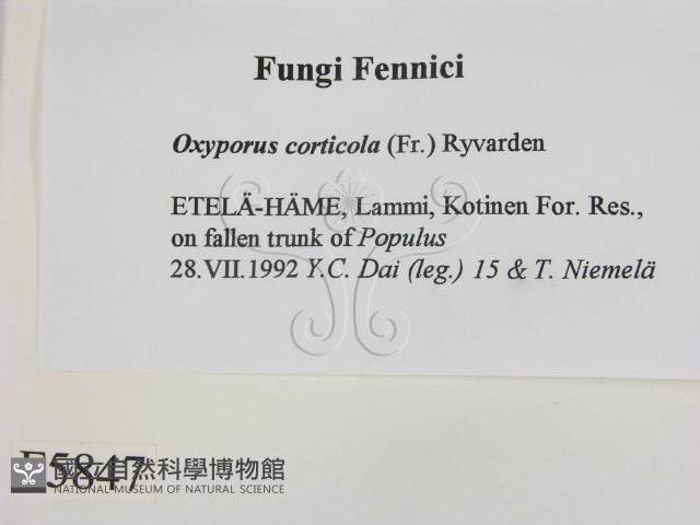 登錄號:F0005847藏品圖，第2張