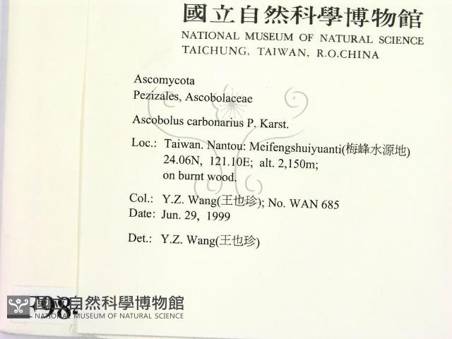 登錄號:F0009847藏品圖，第2張