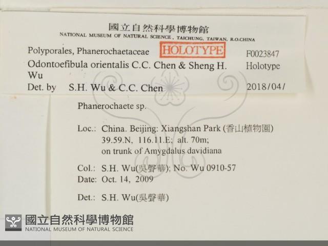 登錄號:F0023847藏品圖，第2張
