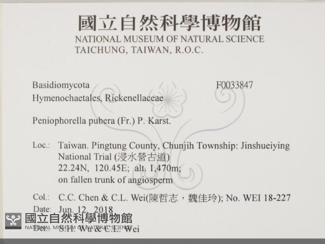 登錄號:F0033847藏品圖，第2張