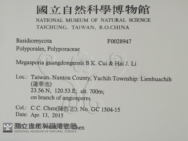 Accession Number:F0028947 Collection Image, Figure 2, Total 2 Figures