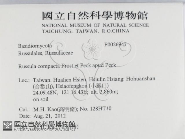 登錄號:F0026947藏品圖，第2張