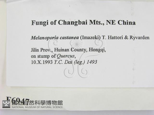 登錄號:F0006947藏品圖，第2張