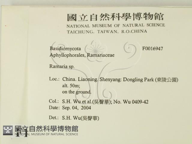 登錄號:F0016947藏品圖，第2張