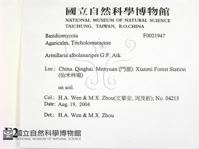 登錄號:F0021947藏品圖，第2張