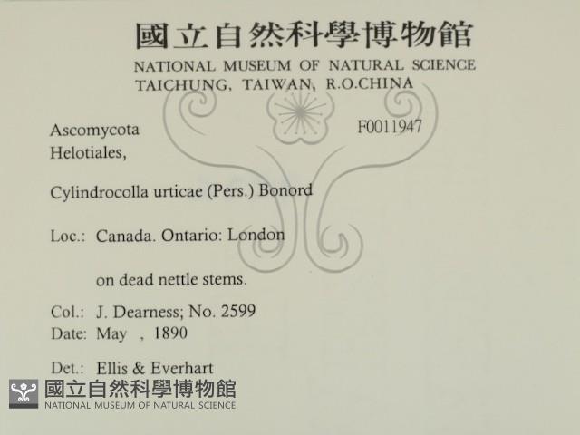 登錄號:F0011947藏品圖，第2張