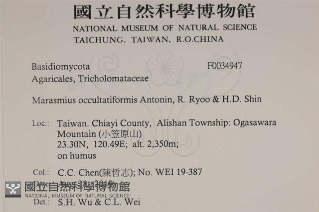 登錄號:F0034947藏品圖，第2張