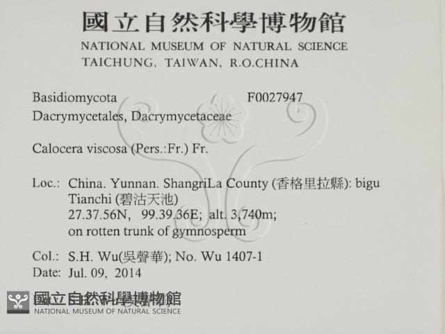 登錄號:F0027947藏品圖，第2張