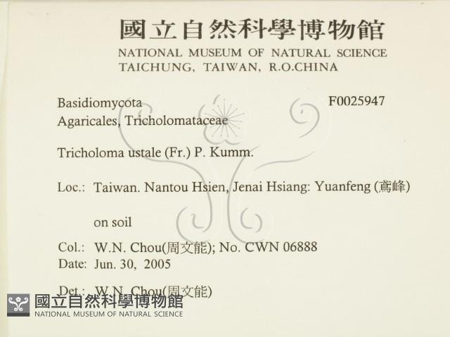 登錄號:F0025947藏品圖，第2張