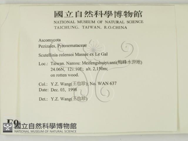 登錄號:F0009947藏品圖，第2張