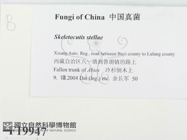 登錄號:F0019947藏品圖，第2張