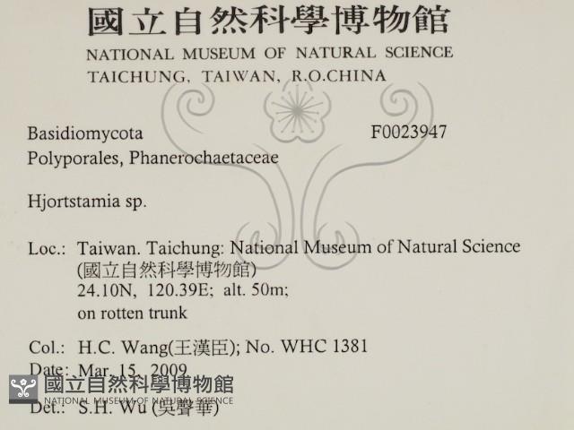 登錄號:F0023947藏品圖，第2張