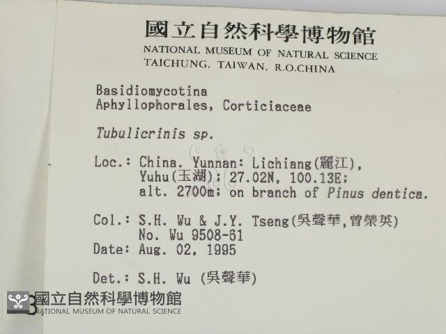 登錄號:F0003947藏品圖，第2張