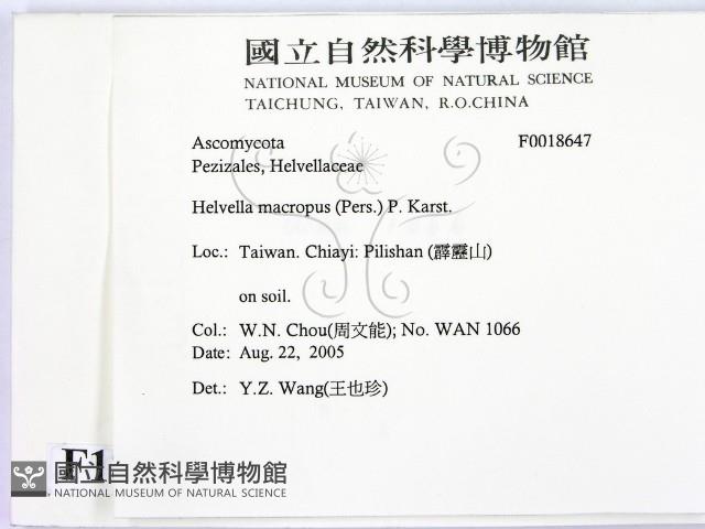 登錄號:F0018647藏品圖，第2張