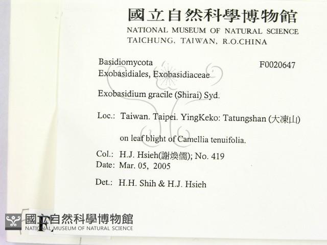 登錄號:F0020647藏品圖，第2張