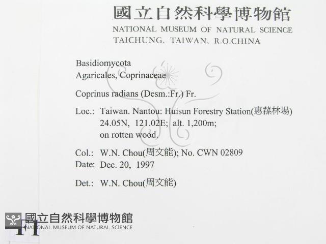 登錄號:F0010647藏品圖，第2張