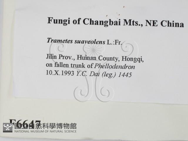 登錄號:F0006647藏品圖，第2張