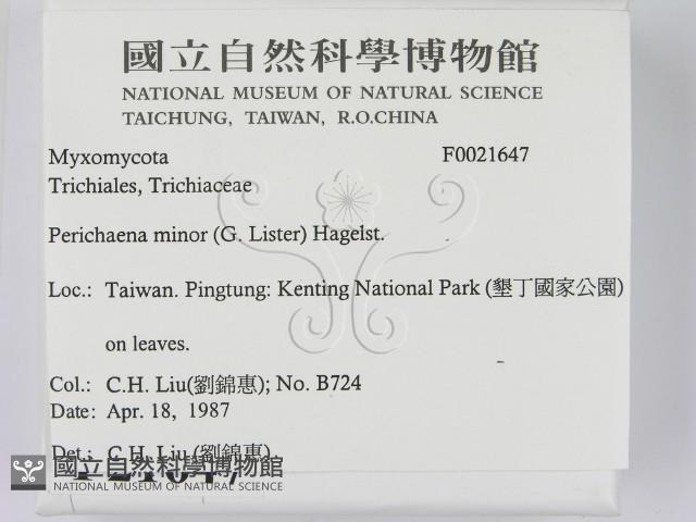 登錄號:F0021647藏品圖，第2張