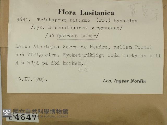 登錄號:F0004647藏品圖，第2張