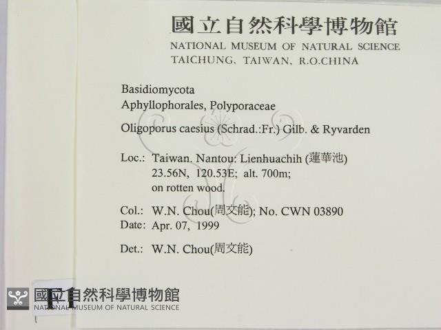 登錄號:F0012647藏品圖，第2張