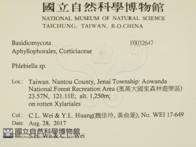 登錄號:F0032647藏品圖，第2張