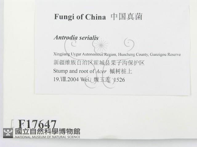 登錄號:F0017647藏品圖，第2張