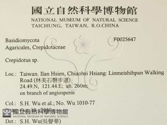 登錄號:F0025647藏品圖，第2張