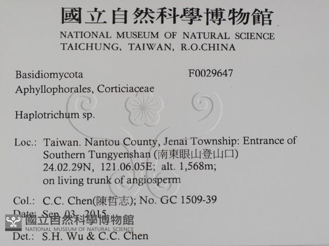 登錄號:F0029647藏品圖，第2張