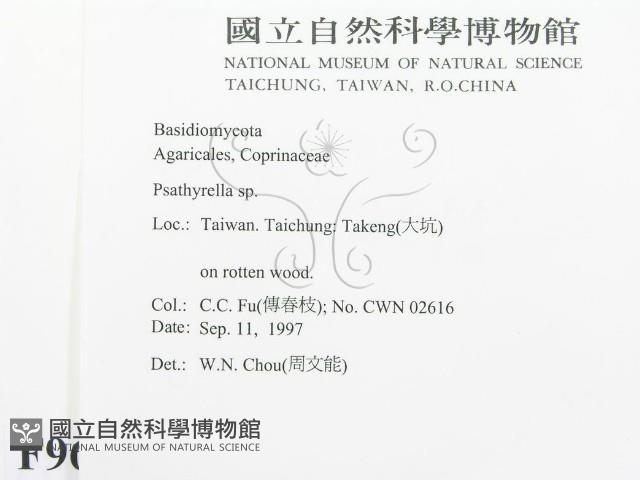 登錄號:F0009647藏品圖，第2張