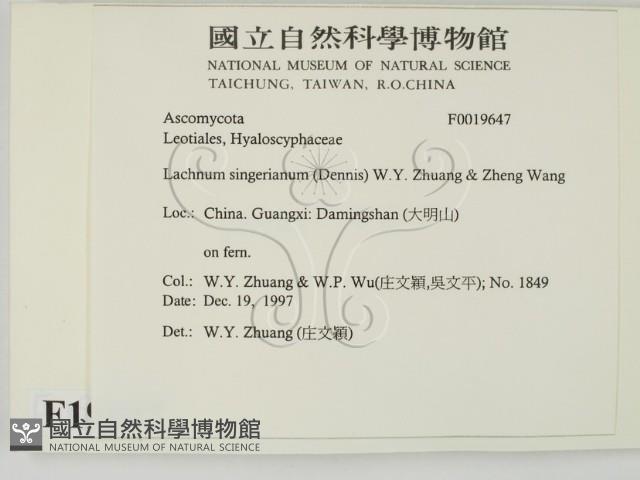 登錄號:F0019647藏品圖，第2張