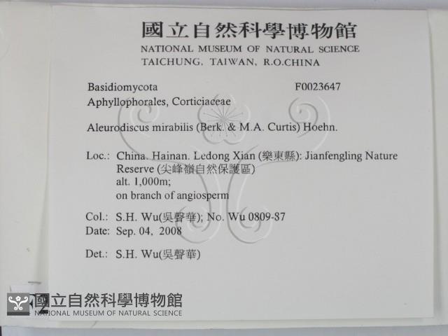 登錄號:F0023647藏品圖，第2張