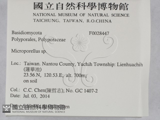 登錄號:F0028447藏品圖，第2張