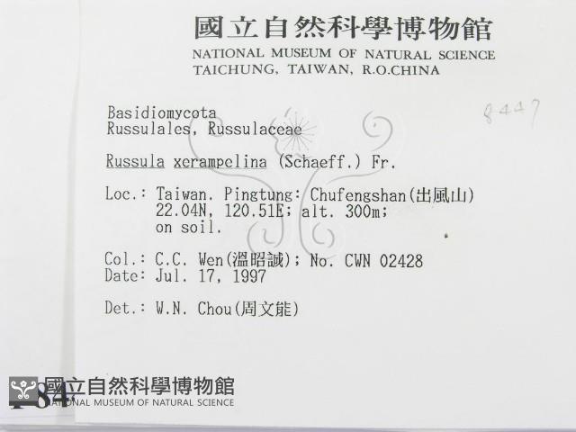 登錄號:F0008447藏品圖，第2張